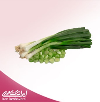 بذر سبزی پیازچه ایرانی فله