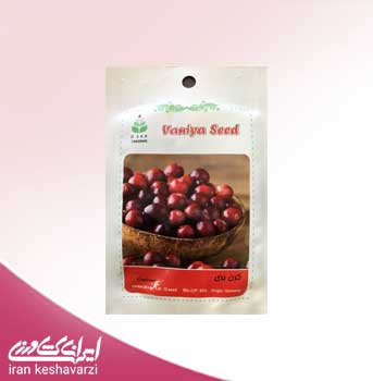 بذر میوه کرن بری cranberry