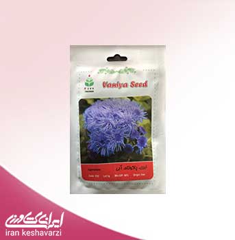 فروش بذر گل ابری آبی