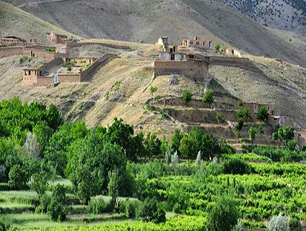 فراز و فرود کشاورزی در افغانستان