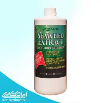 کود ارگانیک جلبک دریایی گرومور آمریکا seaweed axtract