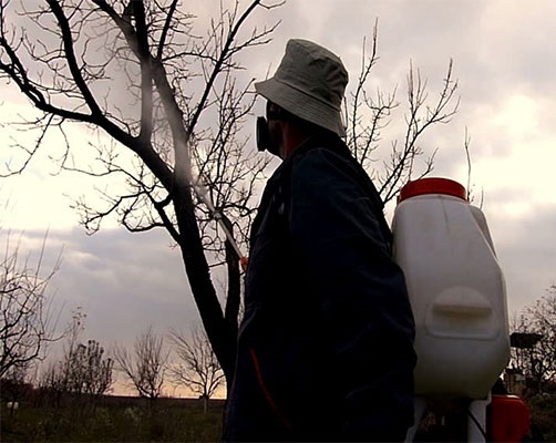 نکاتی در مورد سمپاشی زمستانی