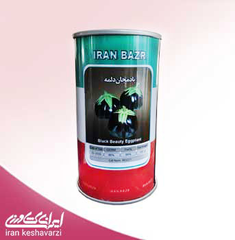 بذر بادمجان دلمه ایرانی ایران بذر در قوطی 100 گرمی