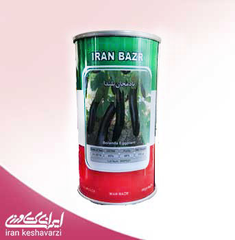 بذر بادمجان قلمی بلندا 2021 ایرانی محصول ایران بذر 100 گرمی