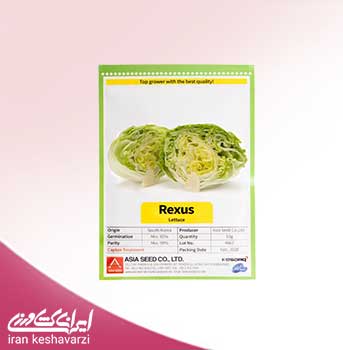 بذر کاهو پیچ استاندارد رکسوس محصول شرکت Asia seed کره جنوبی