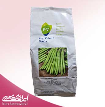 بذر لوبیا سبز سانری هلندی در بسته بندی یک کیلویی pop vriend seeds