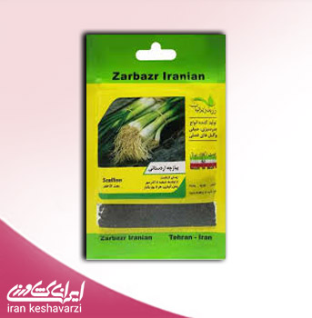 بذر پیازچه اردستانی در بسته بندی خانگی تولید شرکت زربذر ایرانیان 