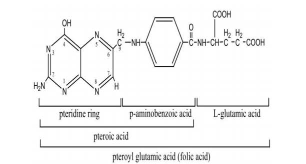 ترکیب ساختار اسید فولویک